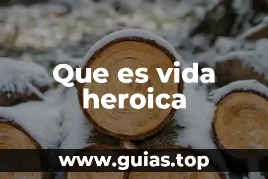 Que es el examen pisa en mexico 7 Que es vida heroica