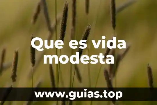 Que es vida modesta
