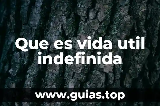 Conclusión de que es la vida 5 Que es vida util indefinida