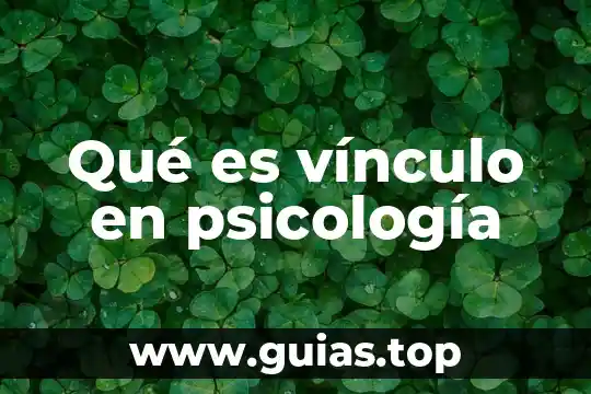 Qué es psicología pragmática 5 Qué es vínculo en psicología