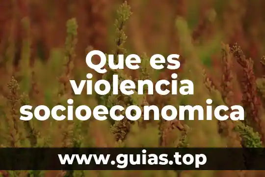Que es una organizacion socioeconomica de mexico 6 Que es violencia socioeconomica