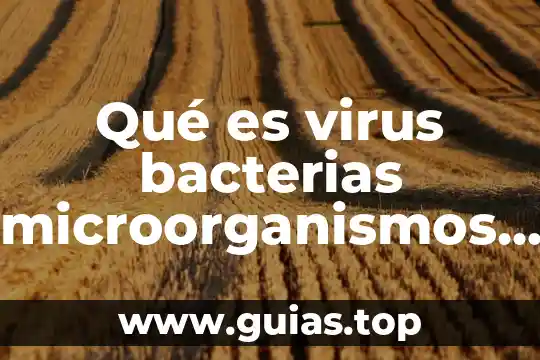 Como saber que es un virus en comando c attrib 6 Qué es virus bacterias microorganismos protozoa y sus tipos