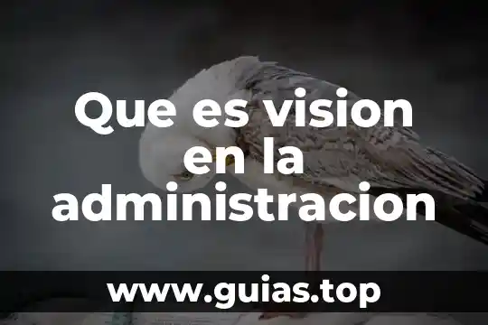 Botón de disparo con visión en directo que es 4 Que es vision en la administracion