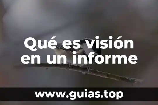 Que es un informe integral de observacion 6 Qué es visión en un informe