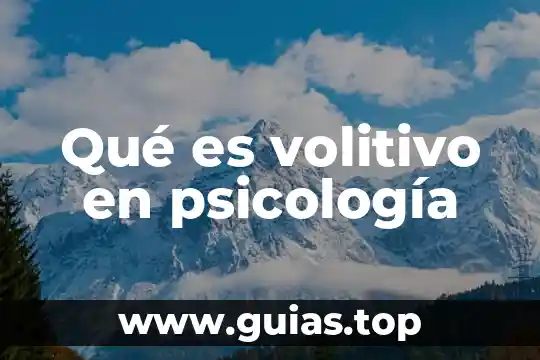 Qué es un script en matemáticas 4 Qué es volitivo en psicología