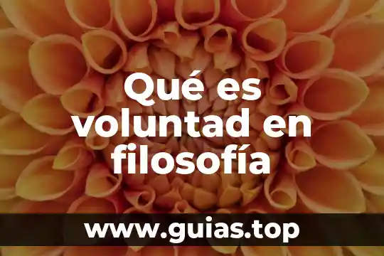 Qué es tiranía en filosofía 8 Qué es voluntad en filosofía
