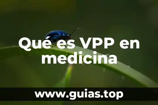 Qué es VPP en medicina