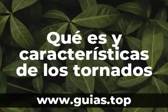 Que es sistema operativo tipos y caracteristicas 3 Qué es y características de los tornados