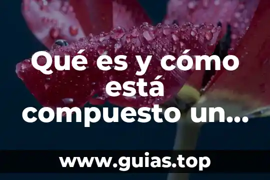 Que es cuando una persona esta carente de agua 4 Qué es y cómo está compuesto un texto