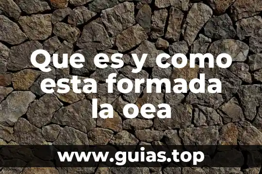 Que es cuando una persona esta carente de agua 3 Que es y como esta formada la oea