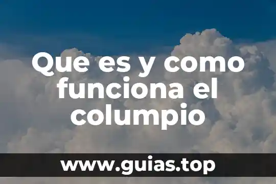 Que es ser cupping 5 Que es y como funciona el columpio