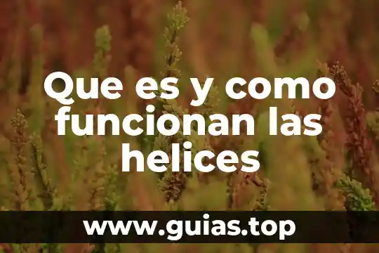 Que es la coordinacion de archivos concepto y funciones 6 Que es y como funcionan las helices