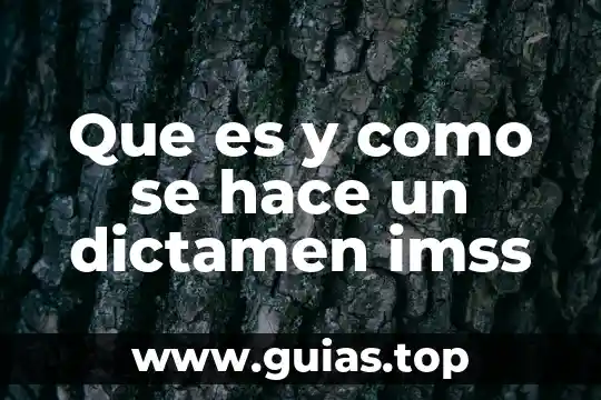 Que es un personaje arquetipo y que hace 6 Que es y como se hace un dictamen imss