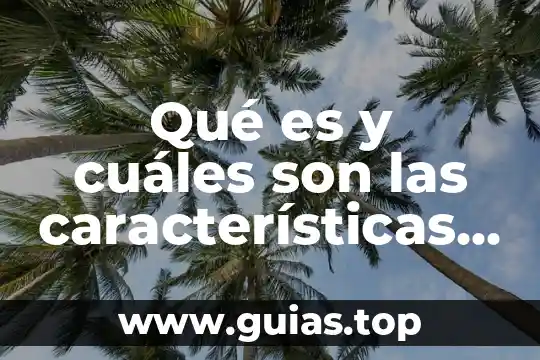 Que es un codigo moral y cuales son sus tipos 8 Qué es y cuáles son las características del neuromarketing
