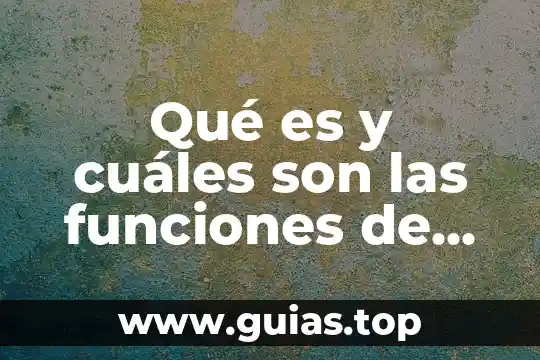 Que es el aborto cuales son los tipos que hay 8 Qué es y cuáles son las funciones de FMI