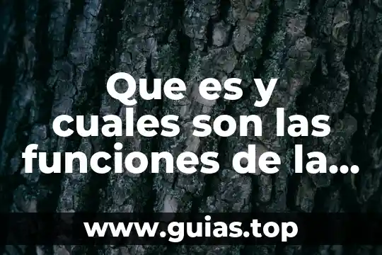 Qué es control y cuáles son los tipos de control 7 Que es y cuales son las funciones de la onu