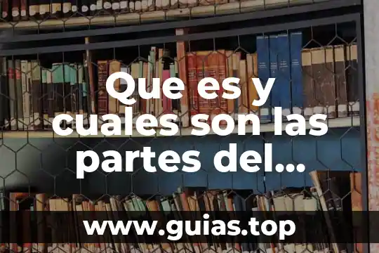 Que es el onuce y cuales son nombres 5 Que es y cuales son las partes del esenario
