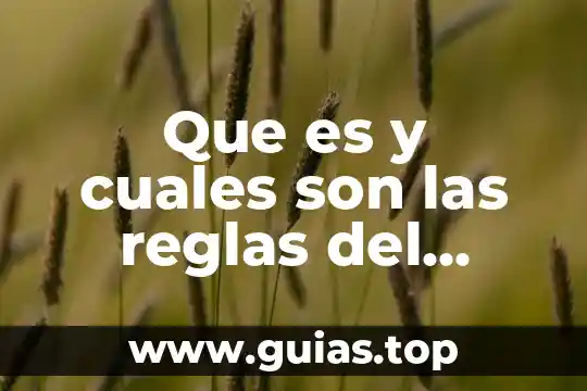 Que es un memorandum y cuales son sus caracteristicas 6 Que es y cuales son las reglas del futbol