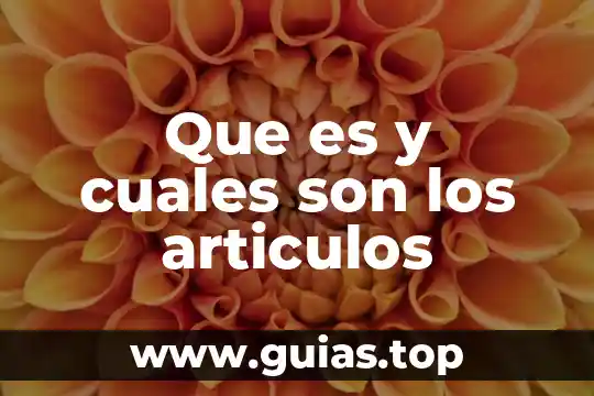 Que es clarificacion articulos 4 Que es y cuales son los articulos