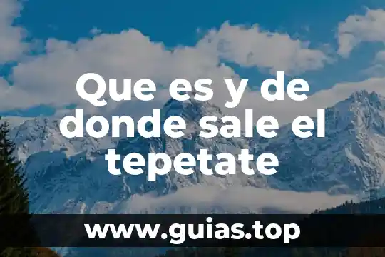 Soy luna capitulo donde luna descubre que es sol benson 7 Que es y de donde sale el tepetate
