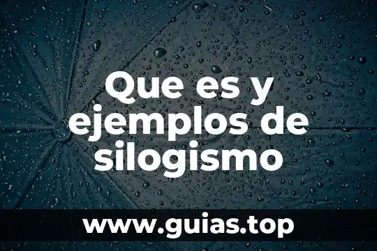 Que es velocidad y sus tipos ejemplos 4 Que es y ejemplos de silogismo