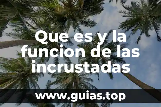 Que es funcion apelativo 7 Que es y la funcion de las incrustadas