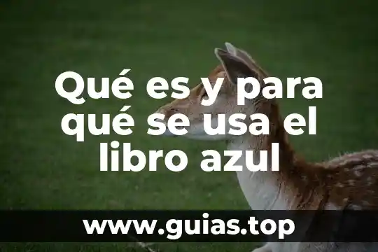Lirio azul de agua para que es 7 Qué es y para qué se usa el libro azul