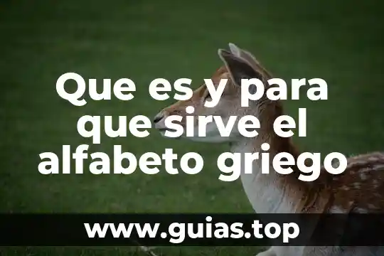 Que es un acelerador de particulas y para que sirve 8 Que es y para que sirve el alfabeto griego