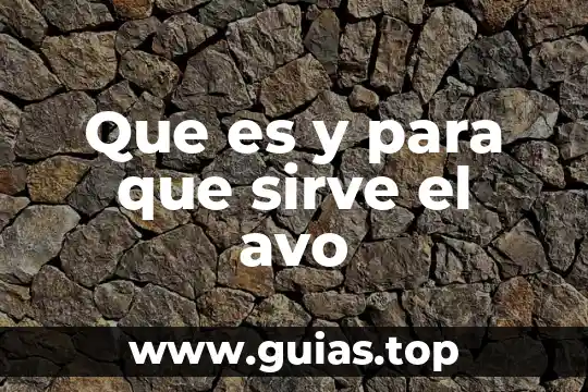 Concepto de que es la informática 5 Que es y para que sirve el avo