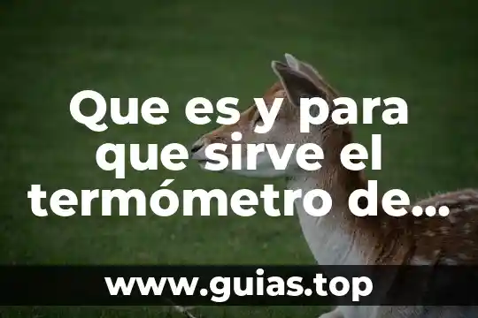 Que es termometro y su funcion 3 Que es y para que sirve el termómetro de gas