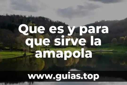 Banco de capacitores que es y tipos 3 Que es y para que sirve la amapola