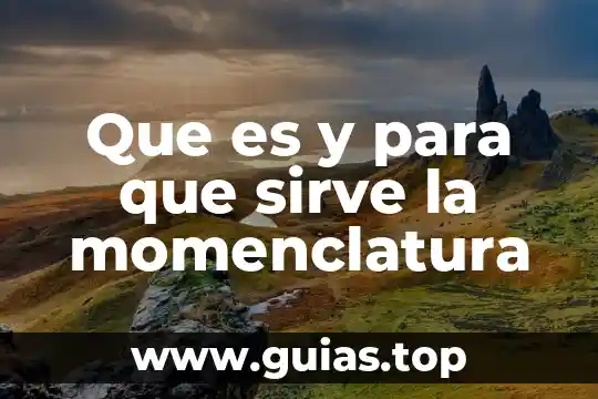 Análisis microeconómico que es y para que sirve 7 Que es y para que sirve la momenclatura
