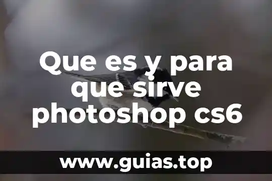 Fusion360 que es y para que sirve 6 Que es y para que sirve photoshop cs6