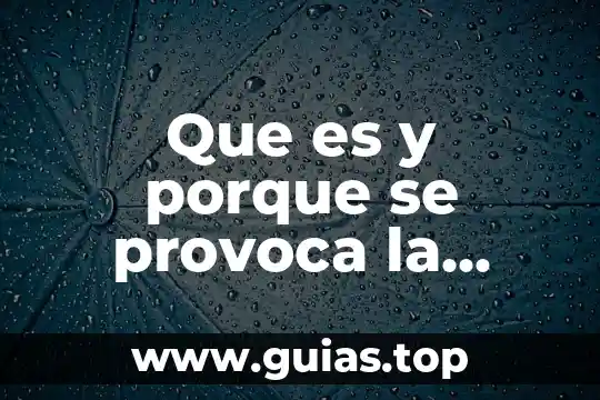 Que es la contaminacion ambiental de radioactiva 4 Que es y porque se provoca la contaminacion ambiental