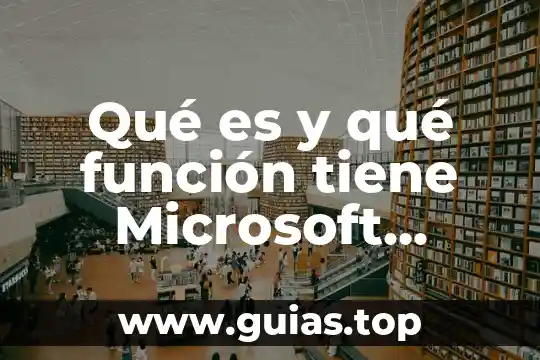 Qué es Microsoft Excel 2016 5 Qué es y qué función tiene Microsoft Word