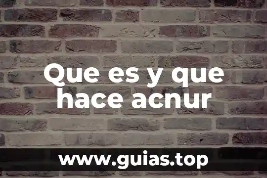 Que es la planta de jitomate 4 Que es y que hace acnur