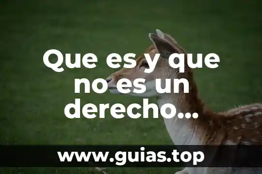 Que es autenticar en derecho 7 Que es y que no es un derecho adquirido