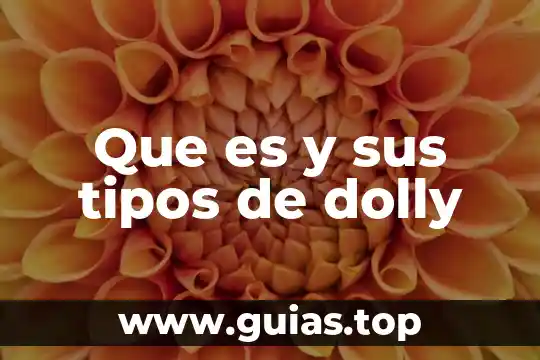 Que es la velocidad tipos de velocidad 3 Que es y sus tipos de dolly