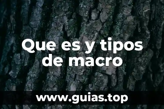 Que es y tipos de macro