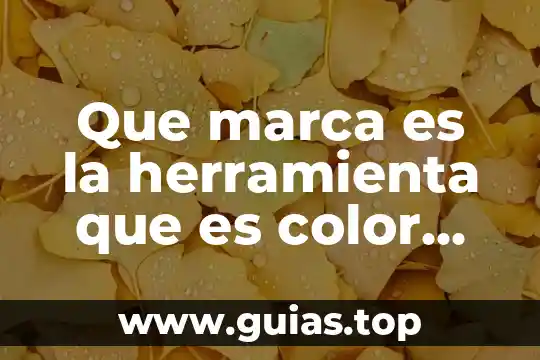 Para que es la inyeccion de cuerpo amarillo 4 Que marca es la herramienta que es color amarillo