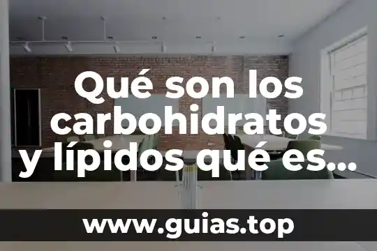 Que es experimentar definición para niños 5 Qué son los carbohidratos y lípidos qué es definición