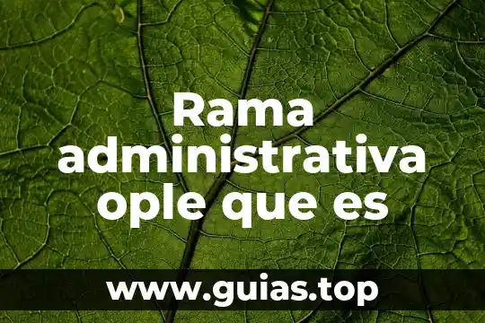 Qué es la ética rama de la filosofía 7 Rama administrativa ople que es