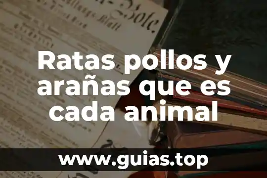 Que es animal zoofilia 5 Ratas pollos y arañas que es cada animal