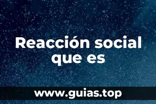 Concepto social que es 4 Reacción social que es