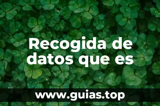 Que es la capa de enlace de datos 3 Recogida de datos que es