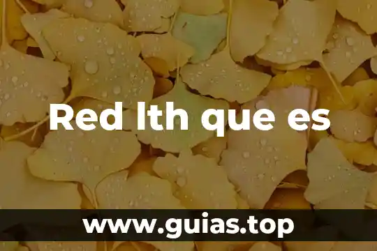 Que es una red domestica de agua 5 Red lth que es