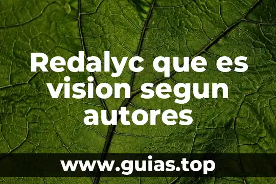 Que es una evaluación autentica concepto por autores 4 Redalyc que es vision segun autores