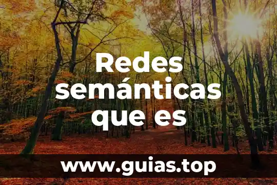 Redes semánticas que es