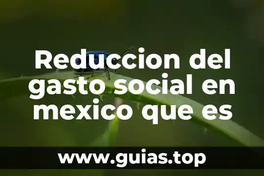 Que es el gasto publico y de que esta compuesto 7 Reduccion del gasto social en mexico que es