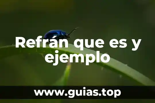 Qué es paradoja y ejemplo 3 Refrán que es y ejemplo